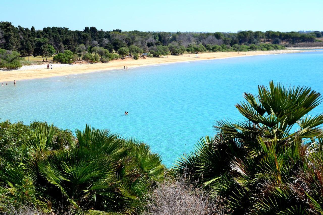Terre Di Mare Near The Sandy Beach With Pool, Parking & Wifi 冯塔尼比安奇 外观 照片
