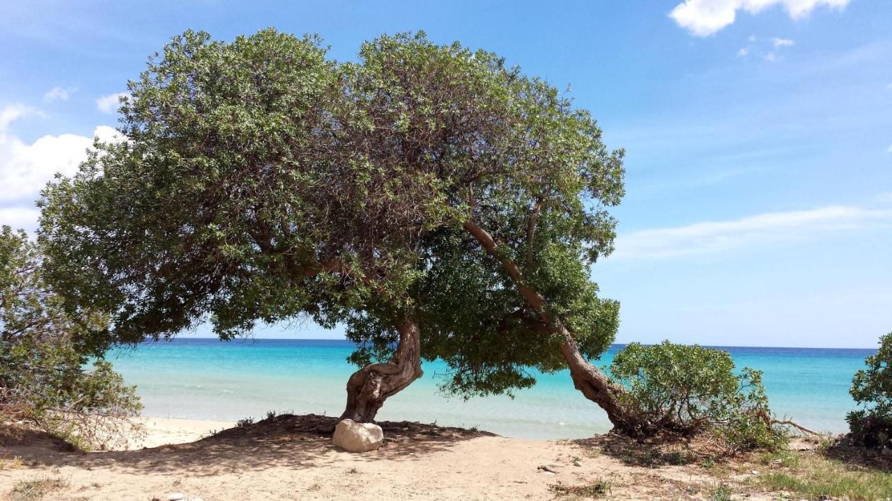 Terre Di Mare Near The Sandy Beach With Pool, Parking & Wifi 冯塔尼比安奇 外观 照片