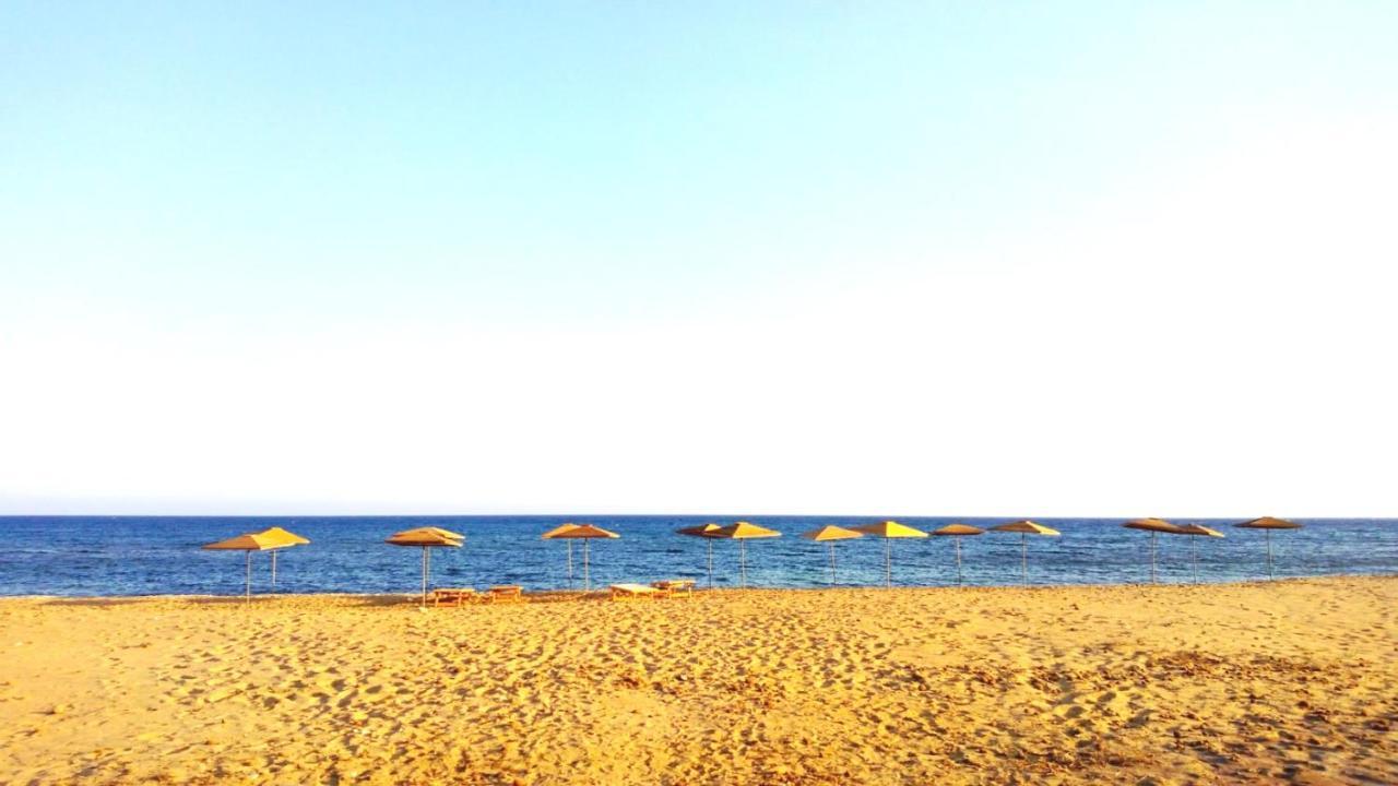 Terre Di Mare Near The Sandy Beach With Pool, Parking & Wifi 冯塔尼比安奇 外观 照片
